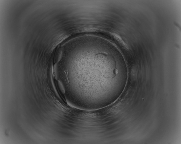 X0000093211209200710031413