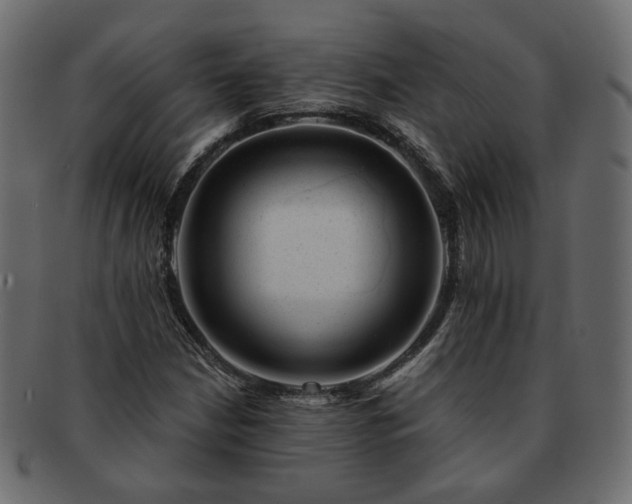 X0000093211210200710031413