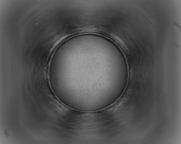 X0000093211212200710031413