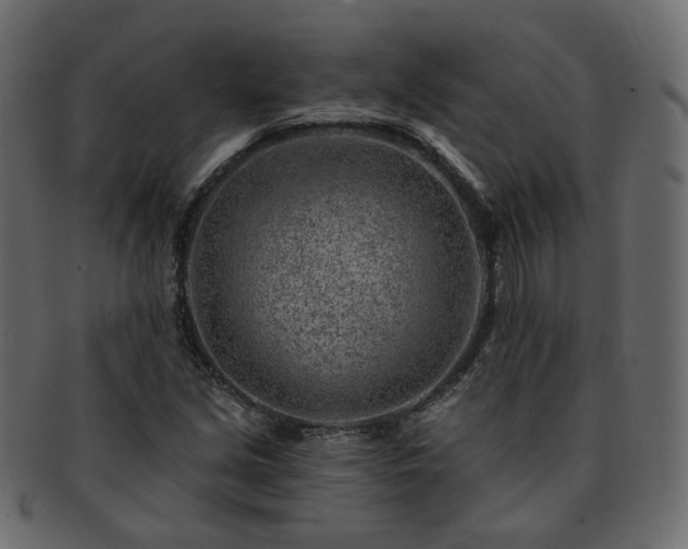 X0000093211213200710031414