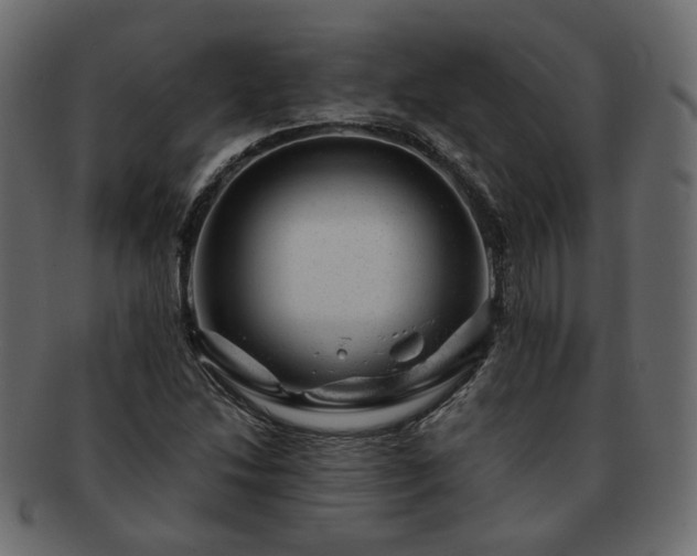 X0000093211214200710031414