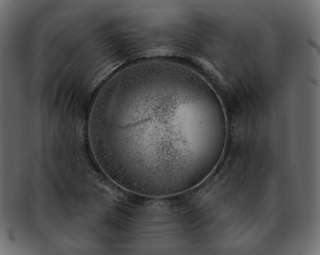 X0000093211217200710031414