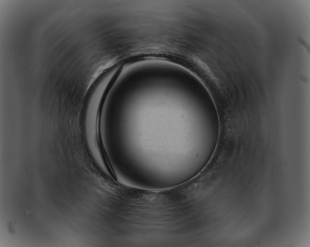 X0000093211218200710031414