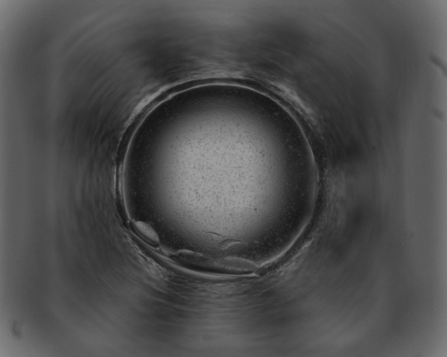 X0000093211220200710031414