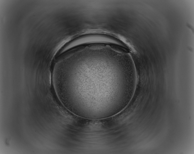 X0000093211221200710031414