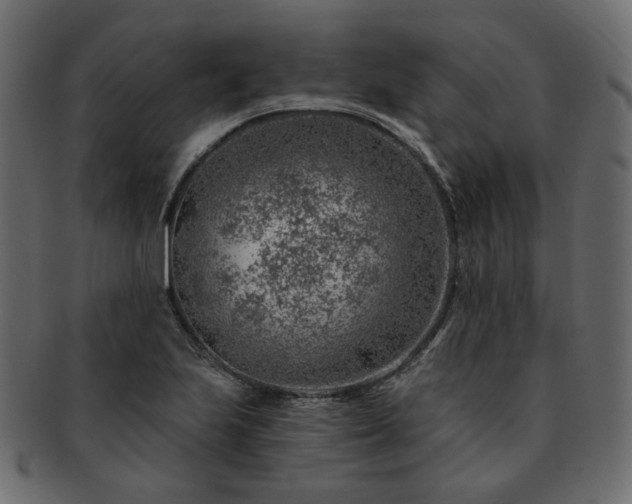 X0000093211223200710031414