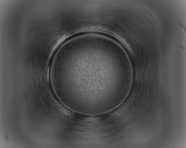 X0000093211224200710031414