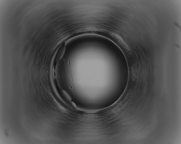 X0000093211225200710031414