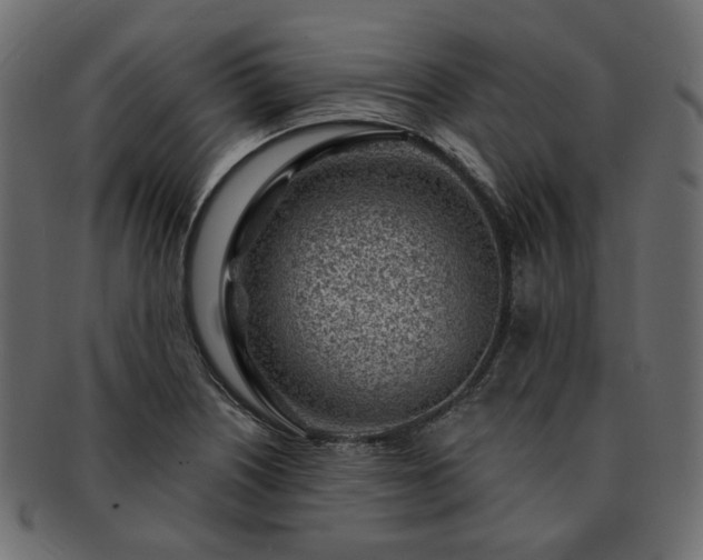 X0000093211226200710031414