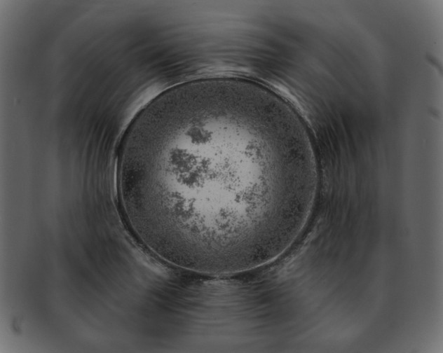 X0000093211227200710031414