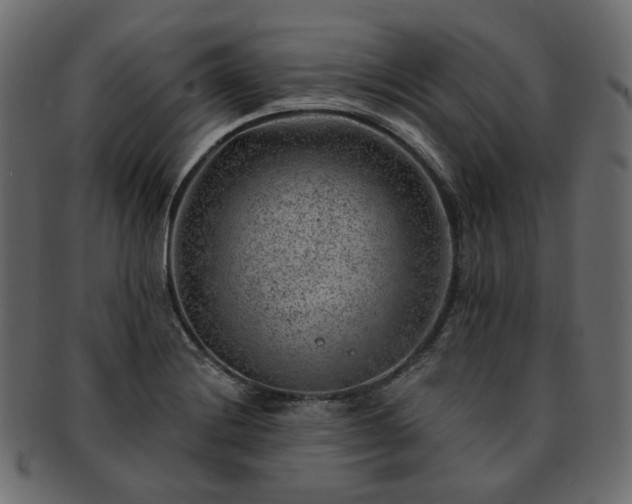 X0000093211228200710031414