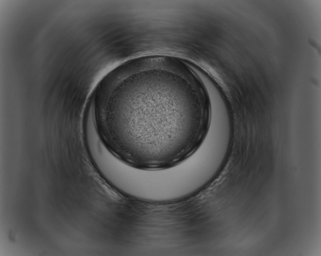 X0000093211230200710031414