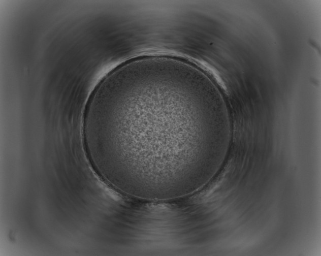 X0000093211231200710031414