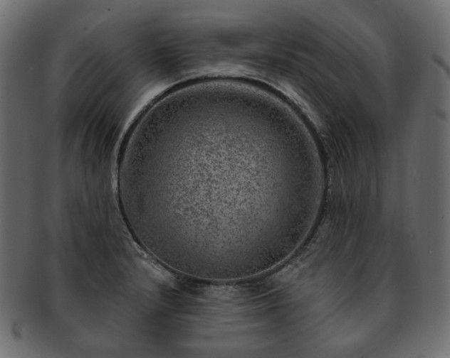 X0000093211232200710031414