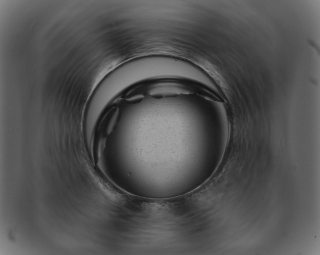 X0000093211234200710031414