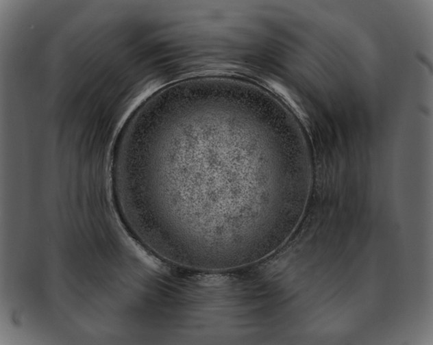 X0000093211235200710031414