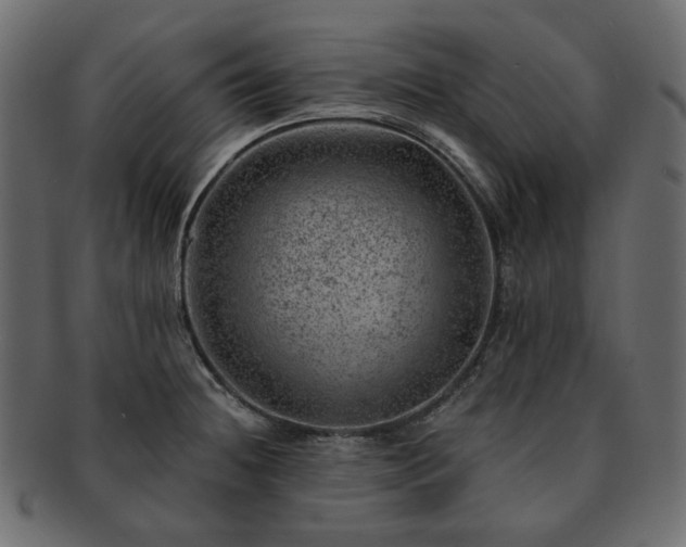 X0000093211236200710031414