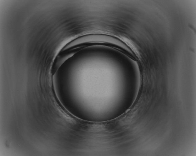 X0000093211238200710031414