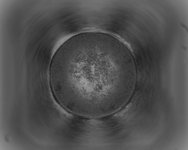 X0000093211239200710031414