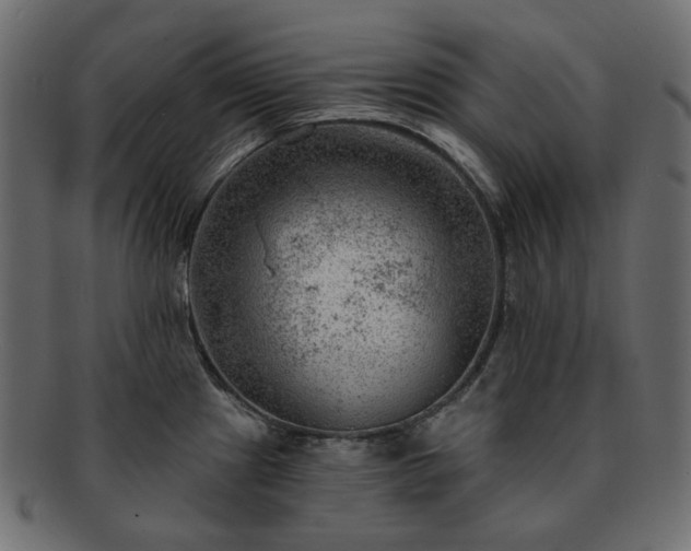 X0000093211241200710031414