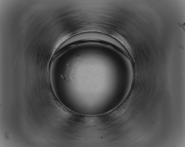 X0000093211242200710031414