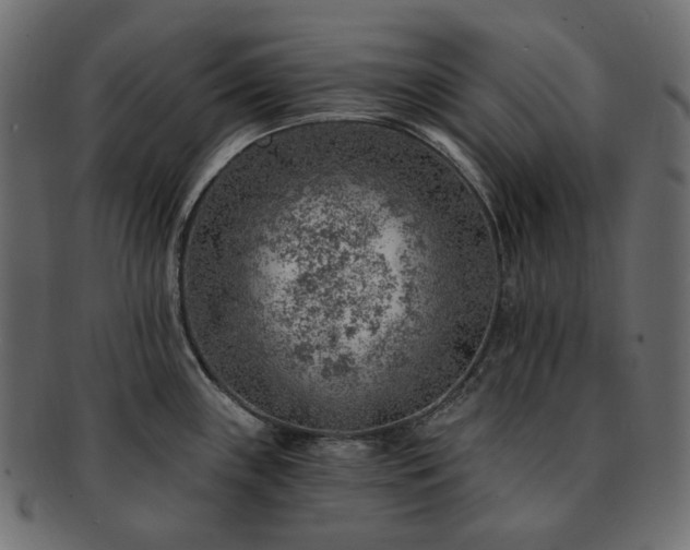 X0000093211243200710031414