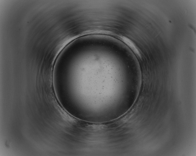 X0000093211244200710031414