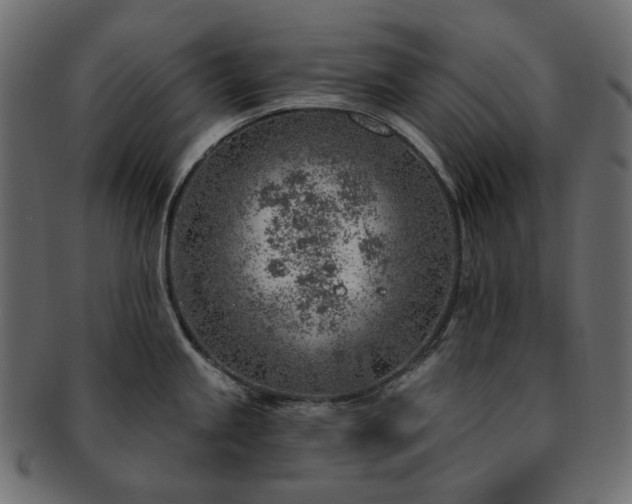 X0000093211245200710031414