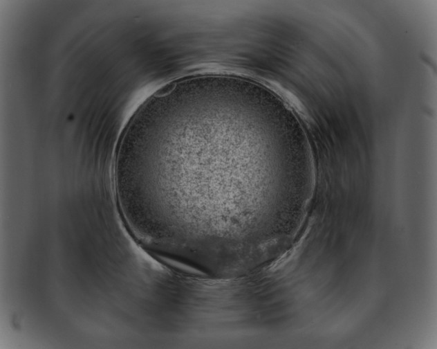 X0000093211247200710031414