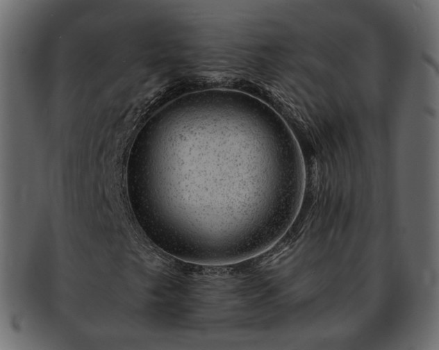 X0000093211249200710031413