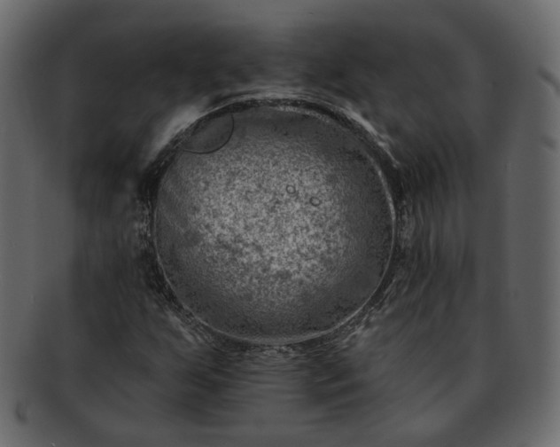 X0000093211255200710031413