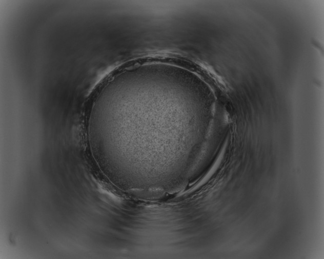 X0000093211256200710031413