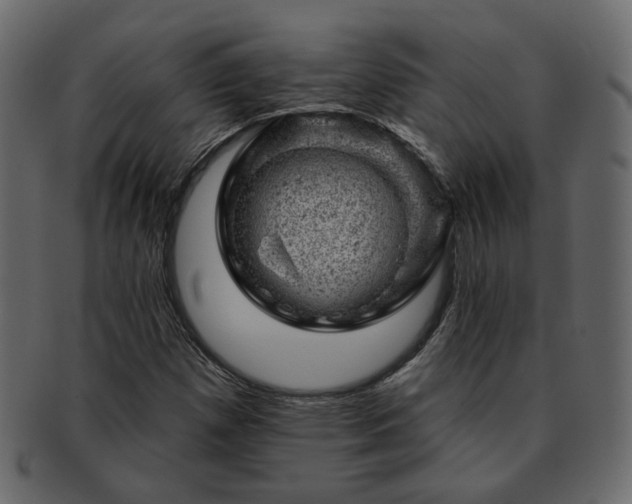 X0000093211257200710031413