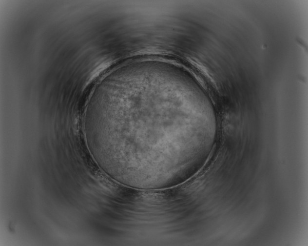 X0000093211258200710031413