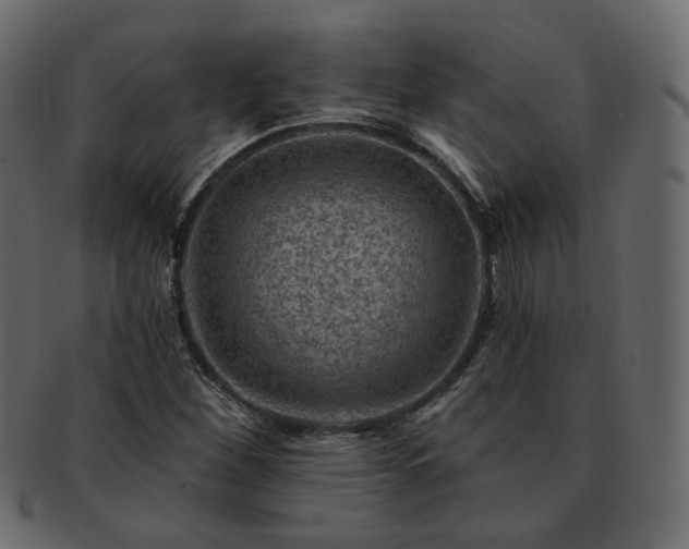 X0000093211260200710031413