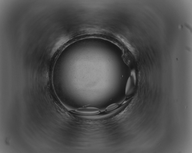 X0000093211261200710031413