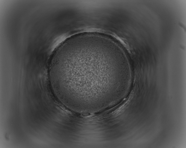 X0000093211263200710031413