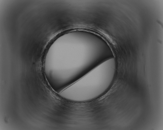 X0000093211264200710031413