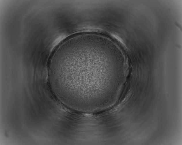 X0000093211267200710031413