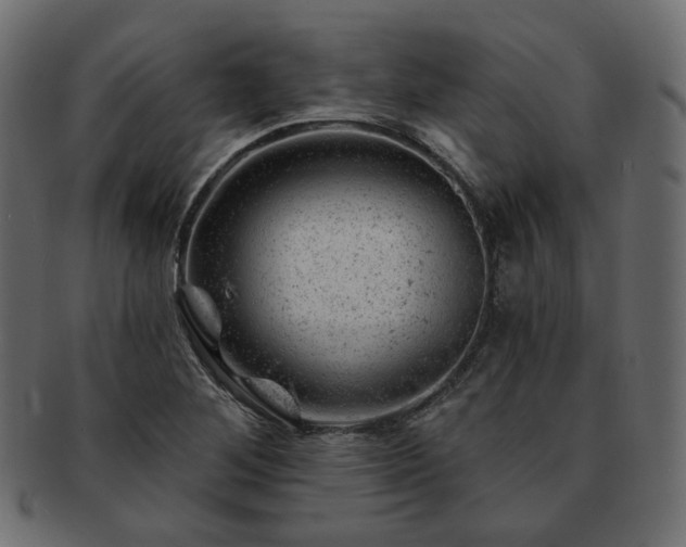 X0000093211268200710031413