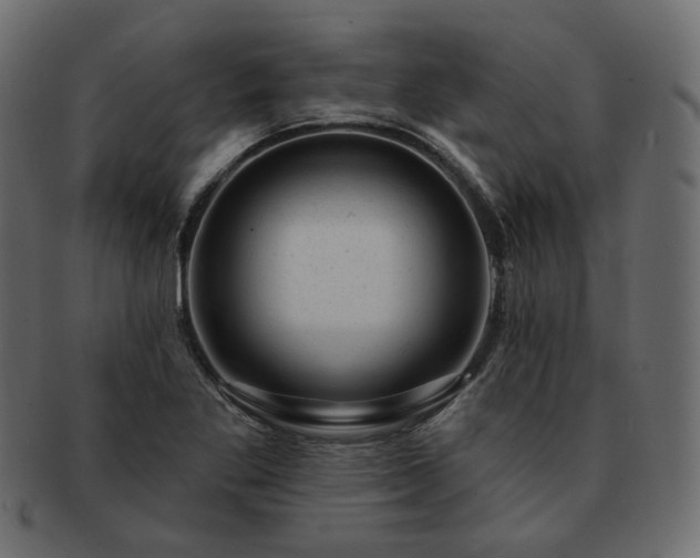 X0000093211269200710031413