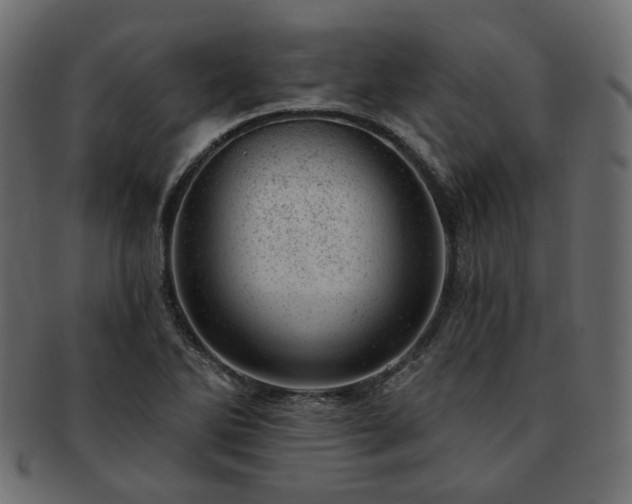 X0000093211270200710031413