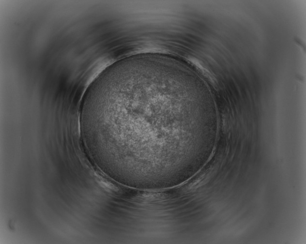 X0000093211274200710031413