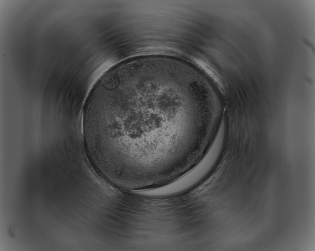 X0000093211275200710031413