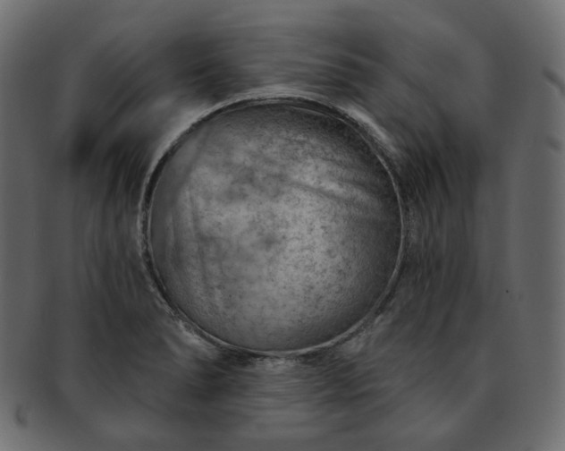 X0000093211278200710031413