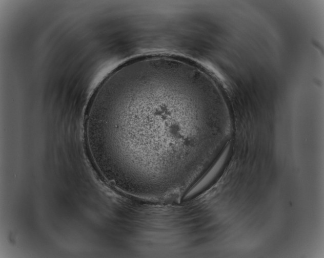 X0000093211279200710031413