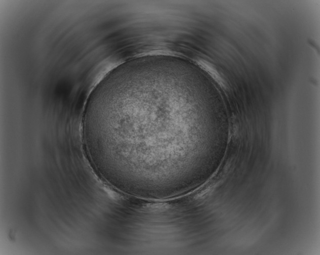 X0000093211282200710031413