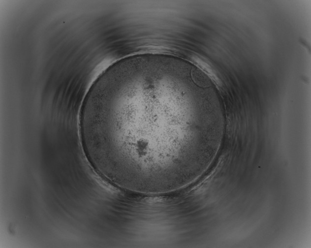 X0000093211283200710031413