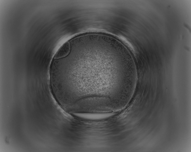 X0000093211287200710031413