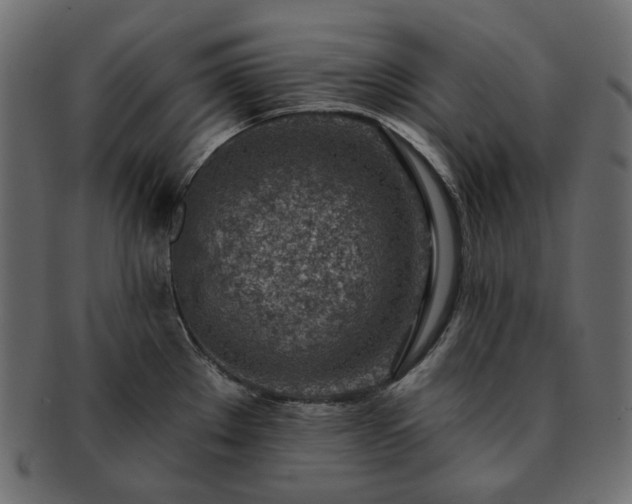 X0000093211289200710031413